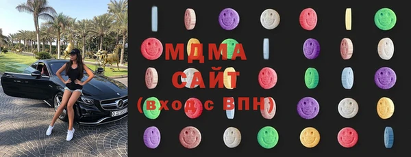 индика Алексин