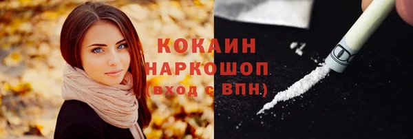 индика Алексин