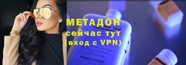 индика Алексин