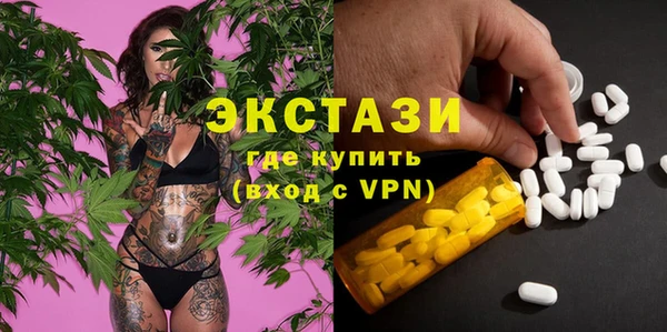 индика Алексин