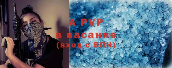 индика Алексин
