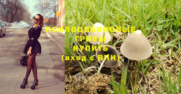 ECSTASY Алексеевка