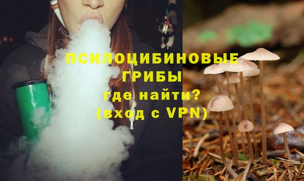 ECSTASY Алексеевка