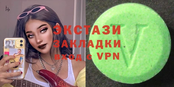 индика Алексин