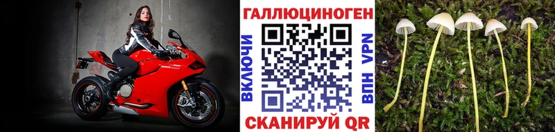 kraken сайт  Андреаполь  Галлюциногенные грибы ЛСД 